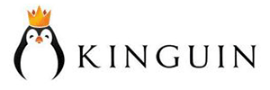 Kinguin Logo