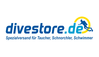 Divestore Logo