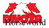 Divoza Logo