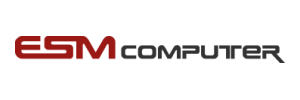 ESM-Computer Logo