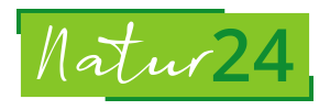 Natur24 Logo