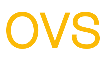 OVS Logo