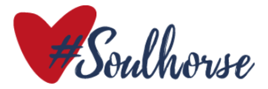 Soulhorse Logo