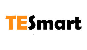 TESmart Logo