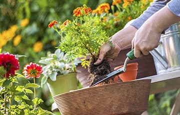 Start in die Gartensaison